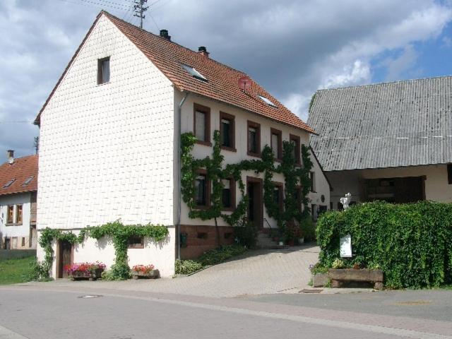 Zucht- Und Ausbildungsstall Rubly Kleinbundenbach Zewnętrze zdjęcie
